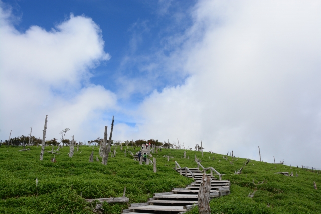 夏の大台ヶ原