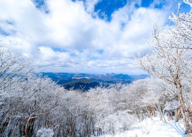 三峰山の霧氷