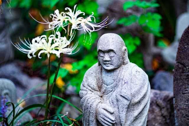 常泉寺　彼岸花