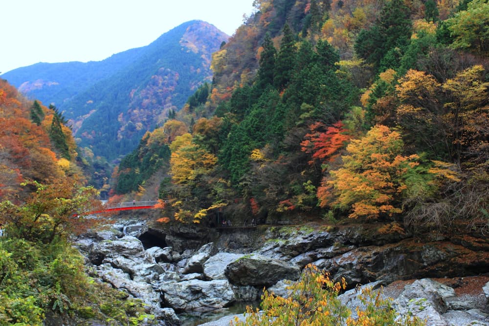 みたらい渓谷の紅葉