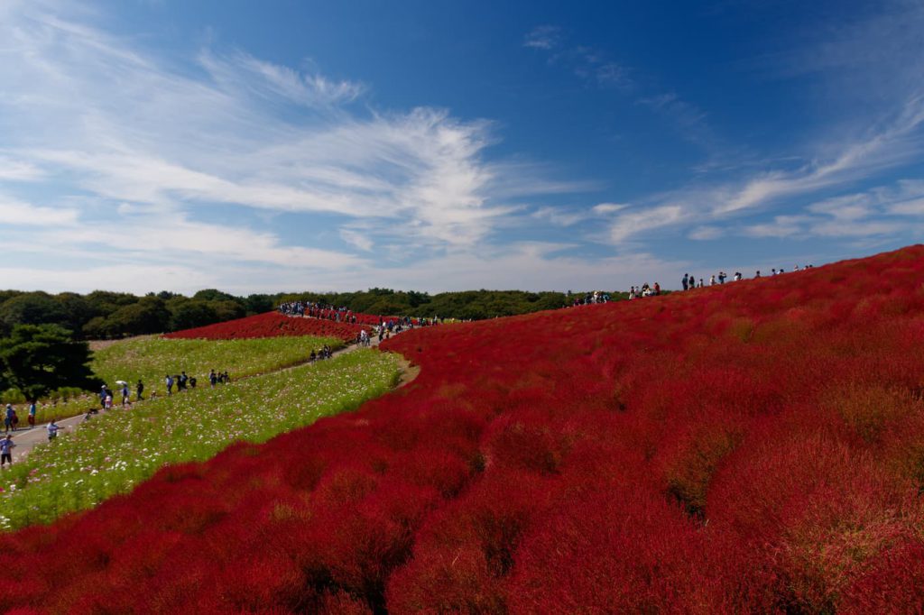 17mmの作例写真