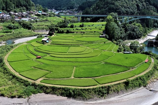 あらぎ島