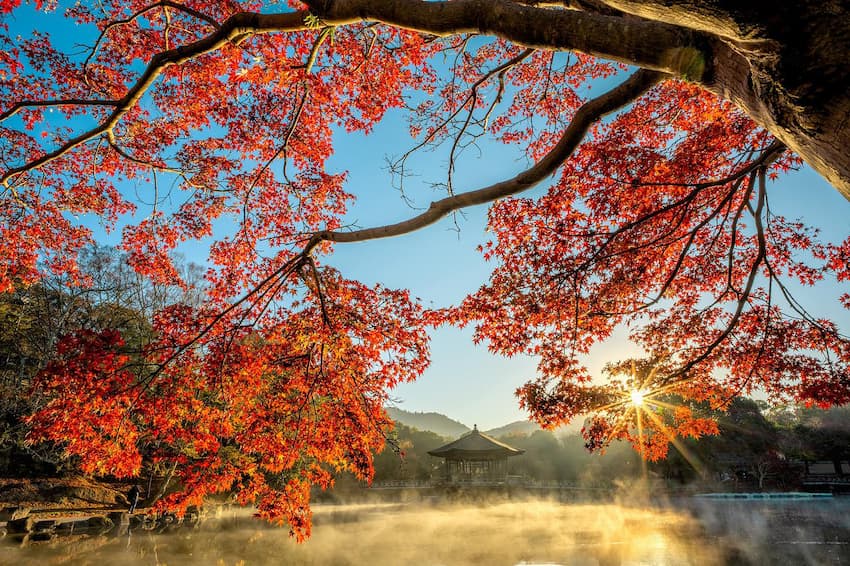 奈良公園・浮見堂と紅葉