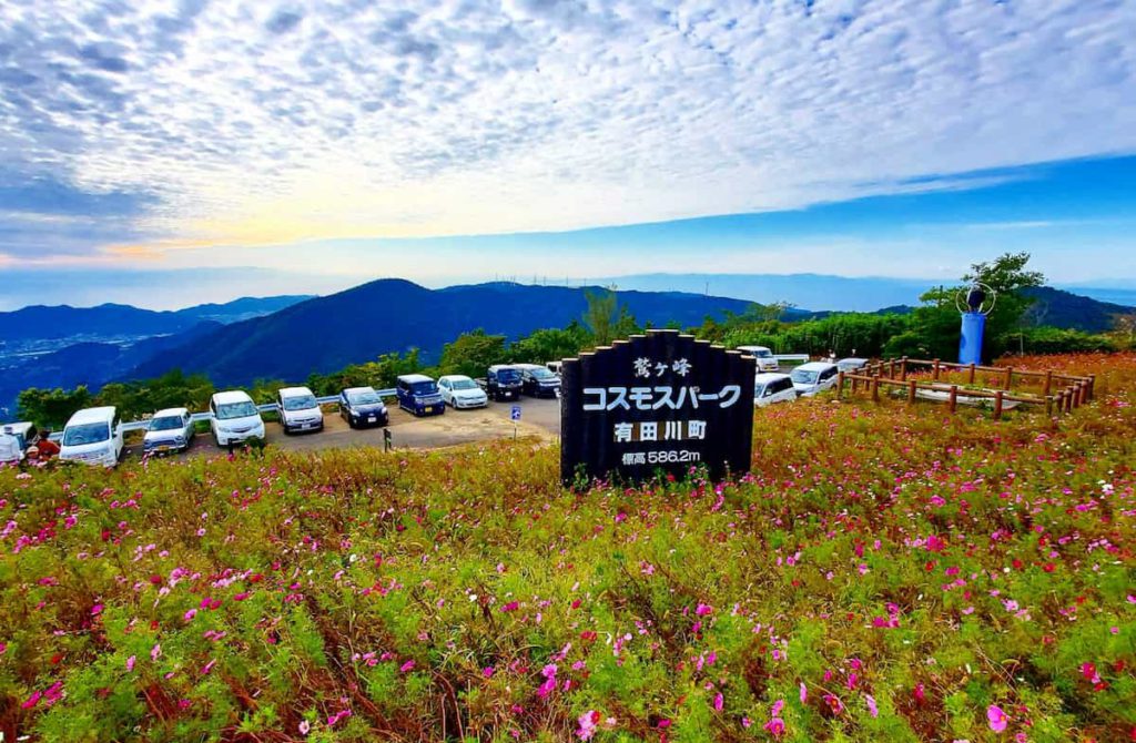 鷲ヶ峰コスモスパーク