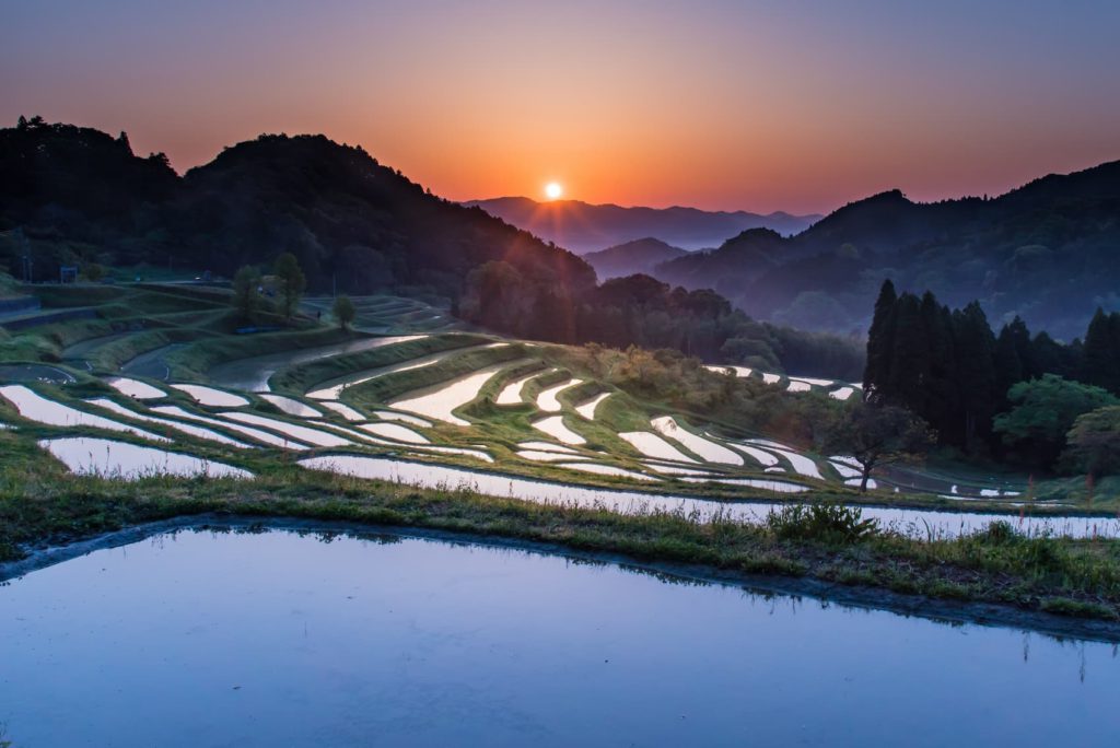 大山千枚田