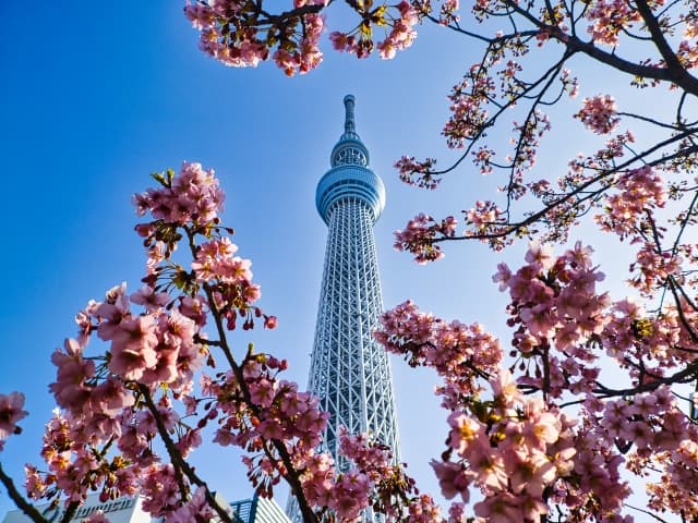 東京スカイツリー