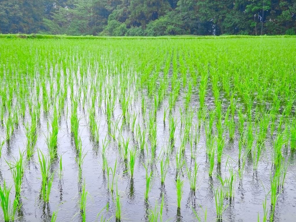天候を気にしてみる