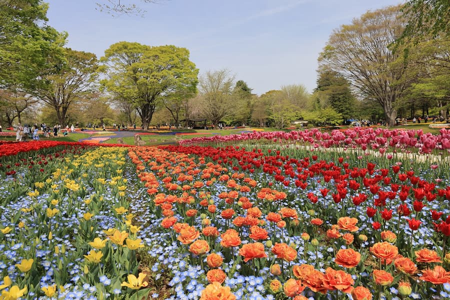 昭和記念公園