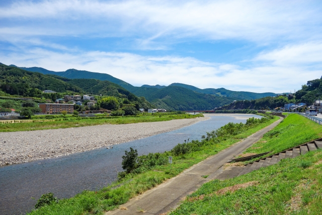彼岸花 富田川