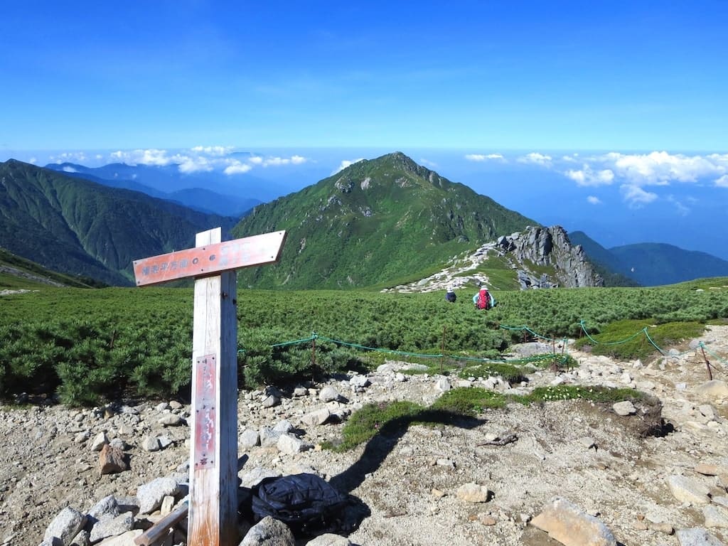山