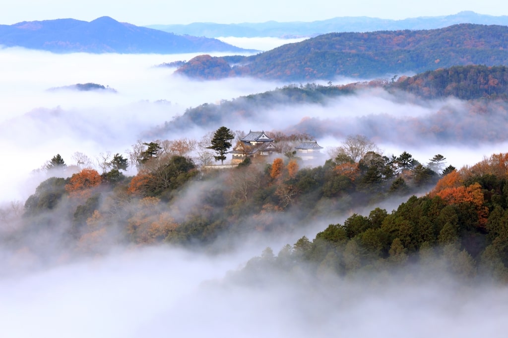 雲海と城