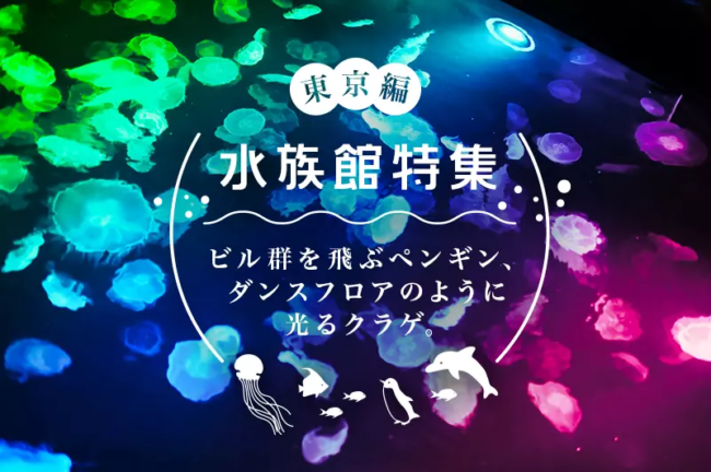 東京都の水族館オススメ5選!見どころや撮影ポイントを徹底解説