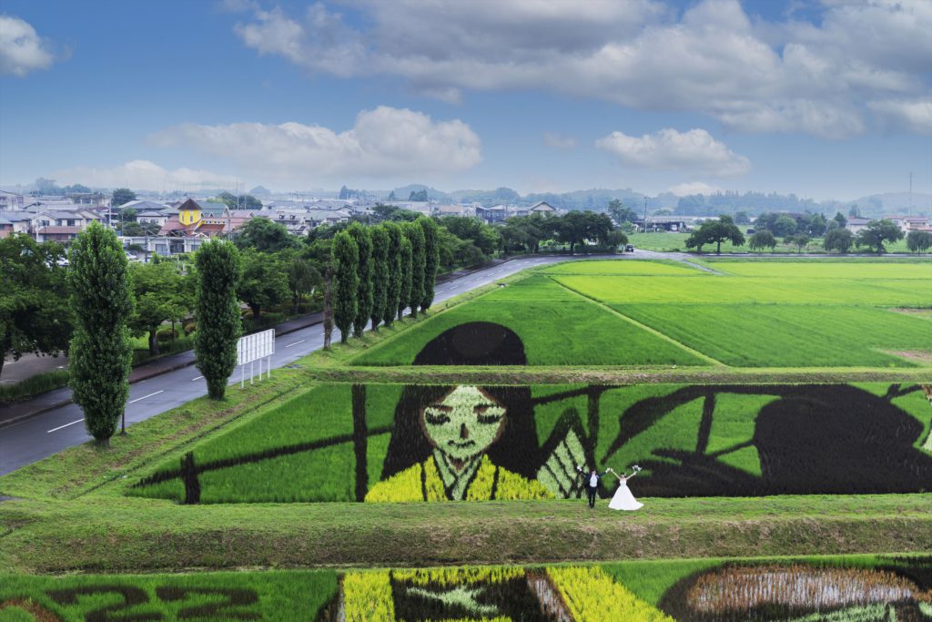 鏡石町の田んぼアート
