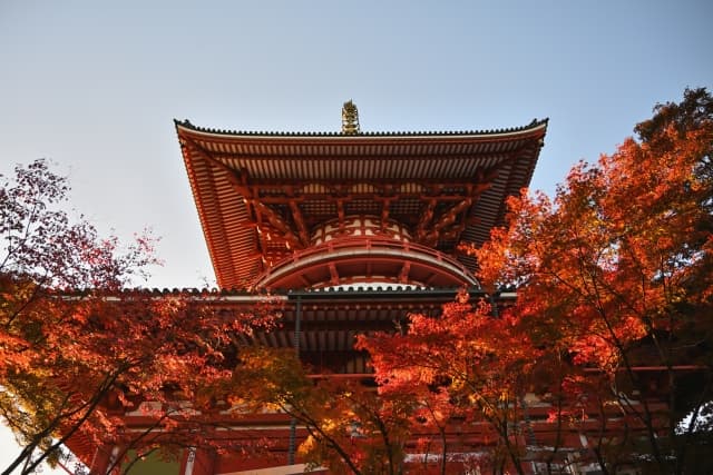 成田山新勝寺