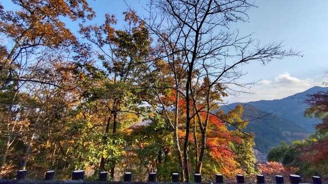 城峯公園