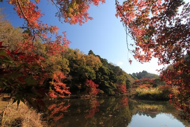 泉自然公園