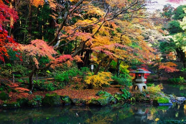 成田山新勝寺 成田山公園