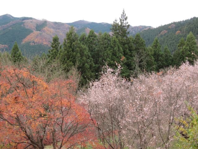 城峯公園