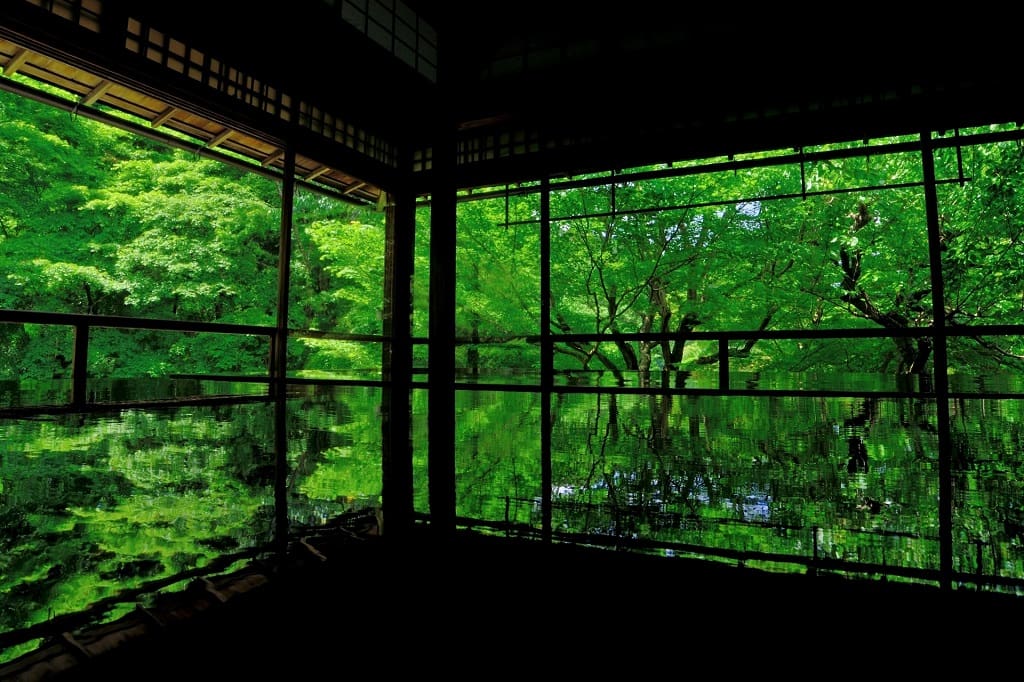 瑠璃光院