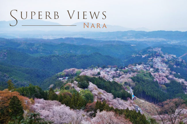 【決定版】一度は撮影したい奈良県の絶景スポット！おすすめTOP10