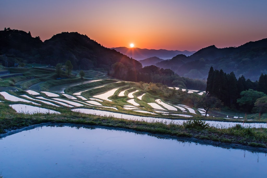 大山千枚田