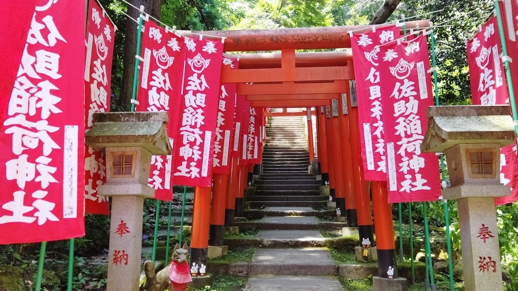 佐助稲荷神社の鳥居