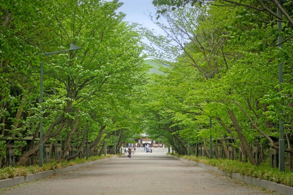 北海道神宮の参道