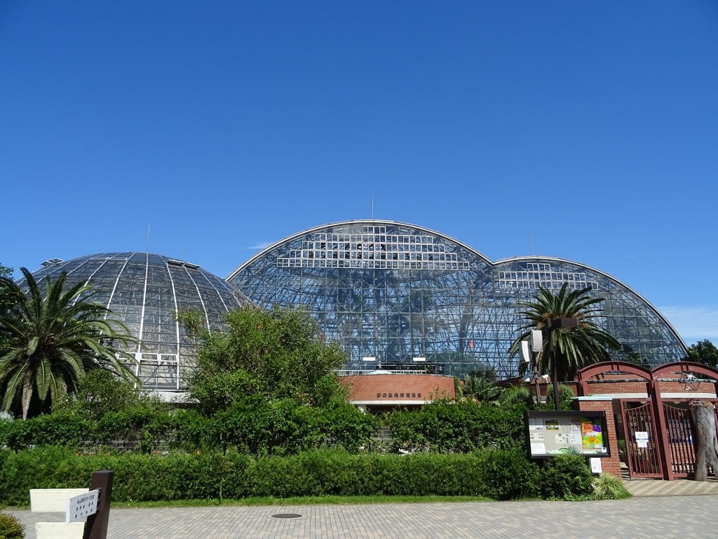 夢の島公園