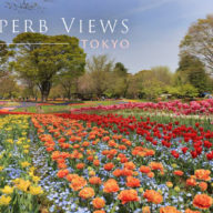 【決定版】一度は撮影したい東京都の絶景スポット！おすすめTOP10