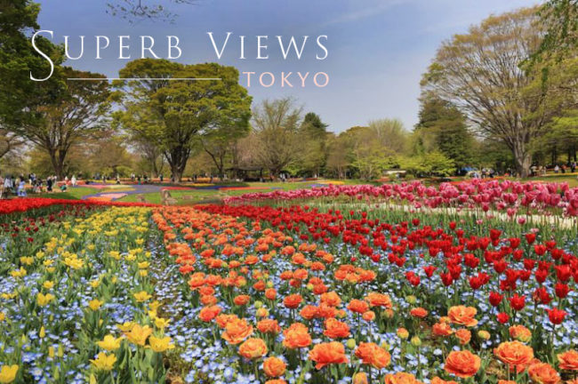 【決定版】一度は撮影したい東京都の絶景スポット!おすすめTOP10