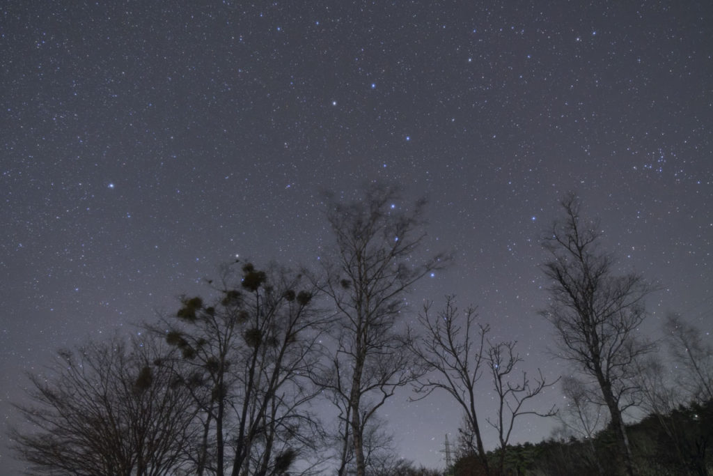 FE 16-35mm F2.8 GM作例
