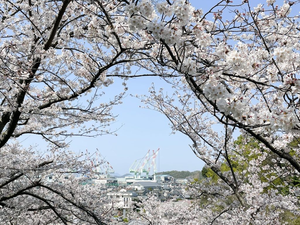 藤山健康文化公園