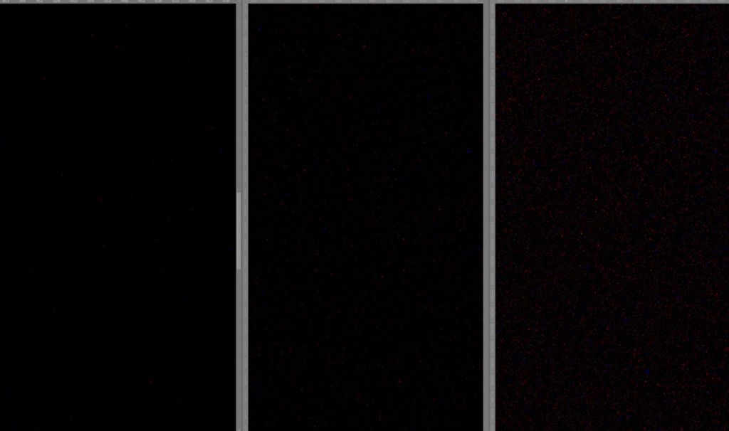 α7Ⅳで撮影した星空