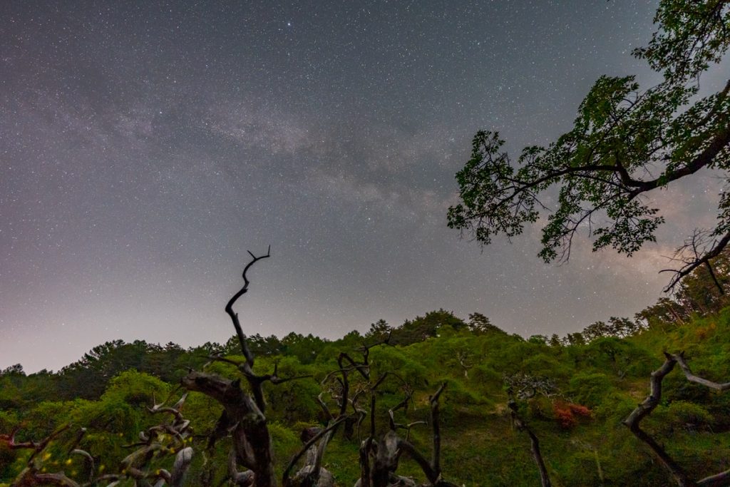 α7Ⅳで撮影した星空