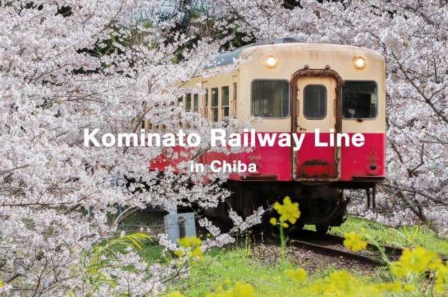 千葉県のローカル線、小湊鉄道とは?魅力や撮影スポットを紹介します