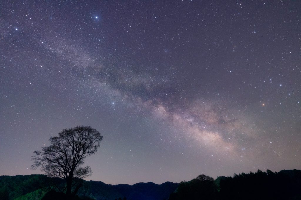 FE 14mm F1.8 GM作例