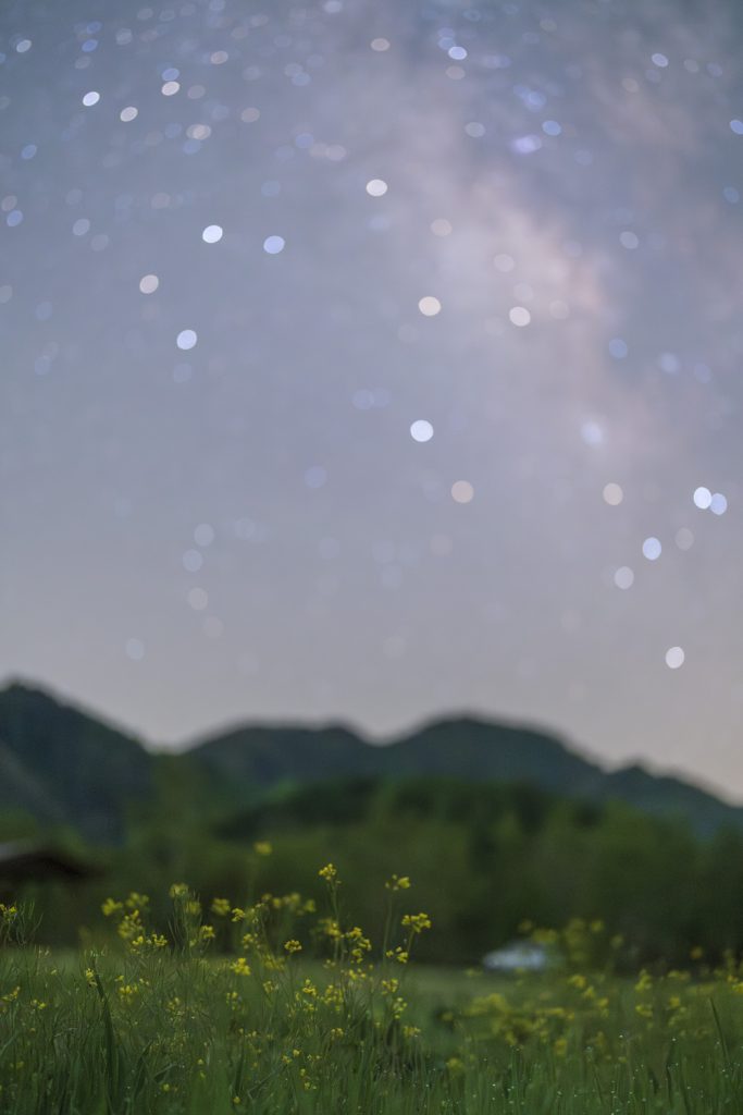 FE 50mm F1.2 GM作例