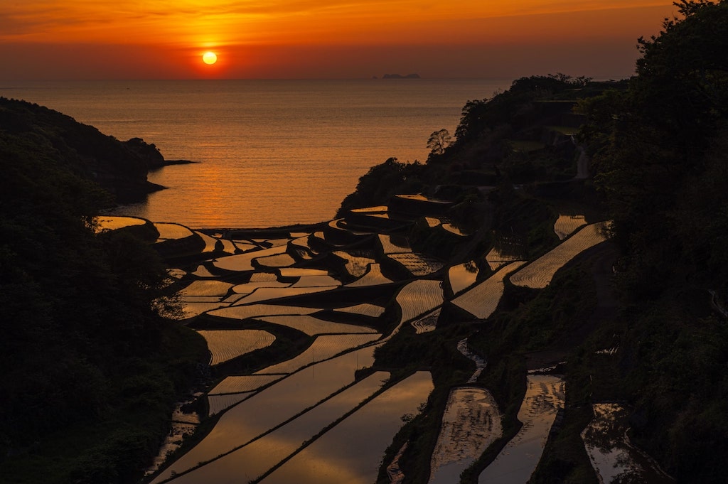 浜野浦の棚田