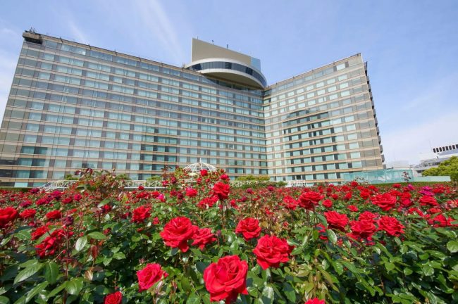 【東京都】秋の行楽シーズンは、3万輪咲く”都心の秘密の花園”へ！「レッドローズガーデン」を限定公開