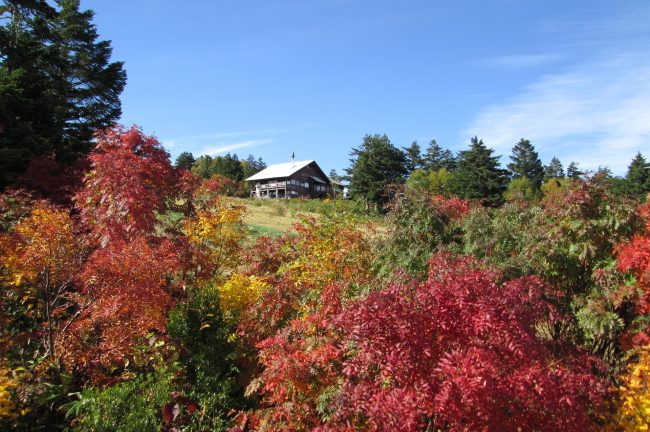 【山形県】ひと足はやい秋を楽しめる!西吾妻山は9月から始まる「紅葉狩り」