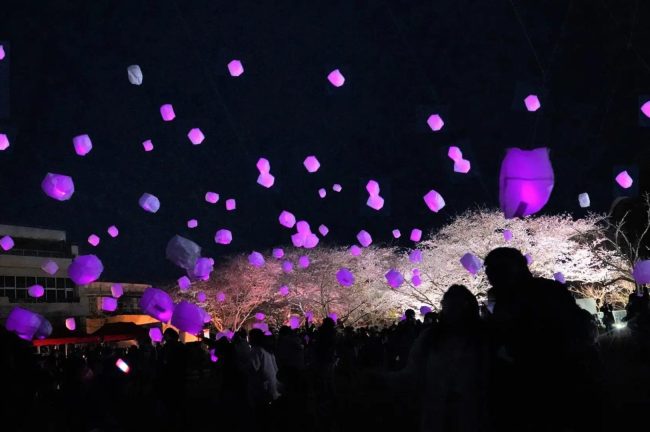【茨城県】今年初開催!「ハロウィンかぼちゃのランタンフェスティバル2023」