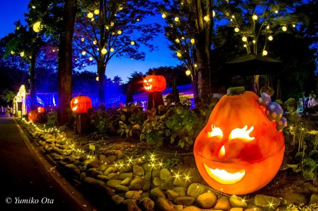 【埼玉県】秋の幻想的なイルミネーション＆ライトアップ「森のハロウィンナイト」2023年10月20日（金）より開催（国営武蔵丘陵森林公園）