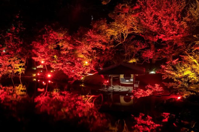 【東京都】11/10(金)〜開催 八芳園の庭園が赤に染まるライトアップイベント 秋、開花。『TOKYO RED GARDEN AUTUMN FESTIVAL 2023』