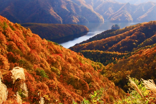 紅葉　山