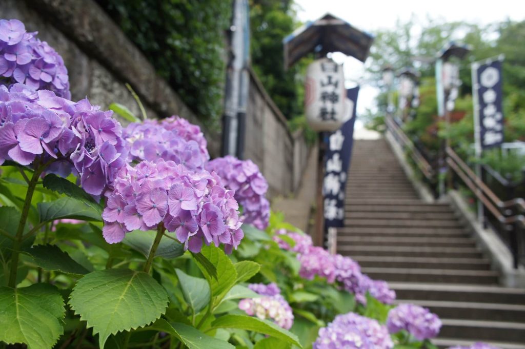 白山神社