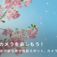 春におすすめな被写体や撮影スポット、カメラのおすすめモデルも紹介