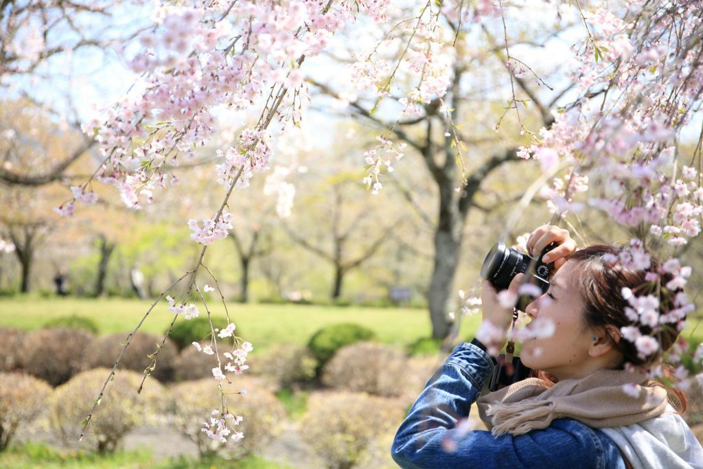 白い花の写真を撮る女性